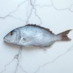 Fresh Indian Salmon Fish Rawans Fish for online Seafood Delivery in Pakistan Photoroom 10