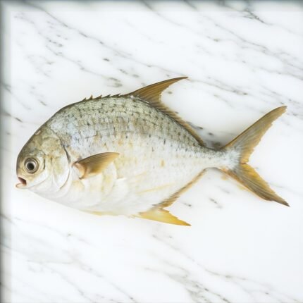 Pompano Fish (سوناف پاپلیٹ)