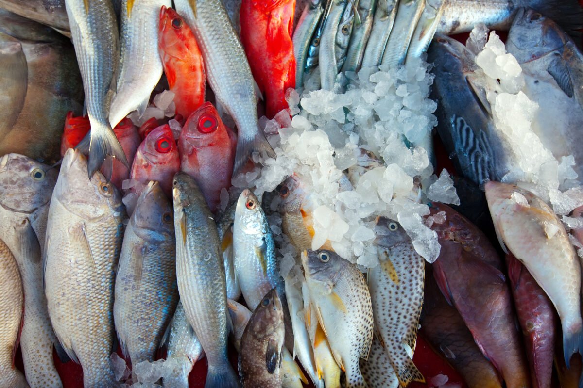 raw fish market