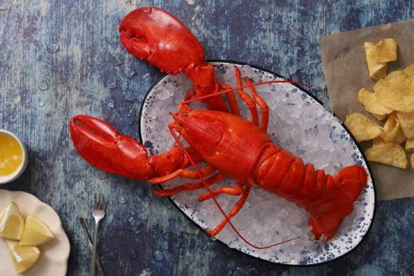 Lobstors