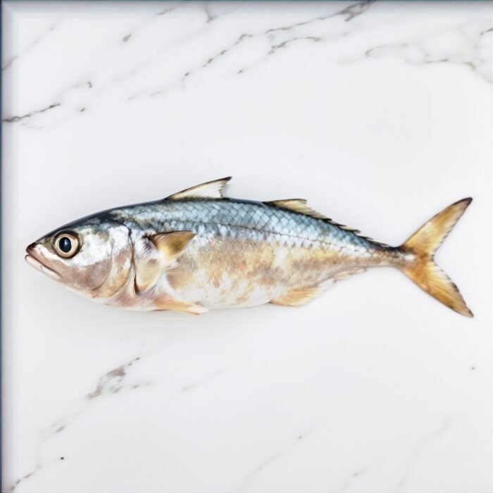 Bangra Fish بانگڑا مچھلی