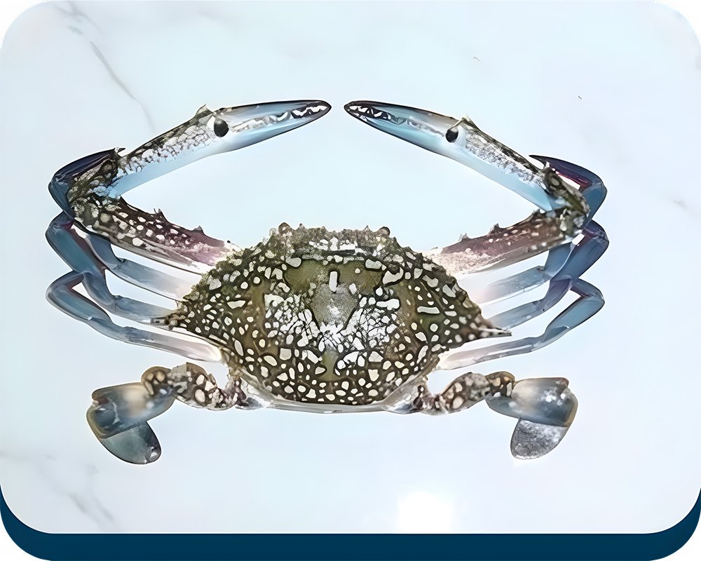 Blue-Crab