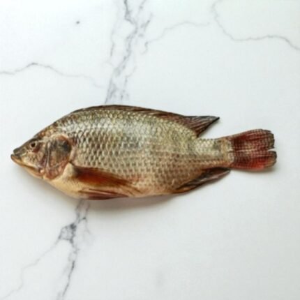 Tilapia | Daiyya Machhli | ڈائیا مچھلی