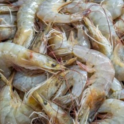 Prawns Small