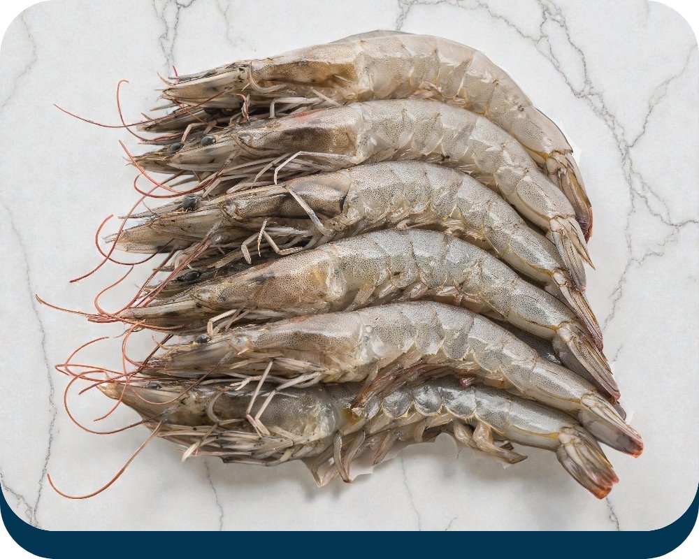 large prawns